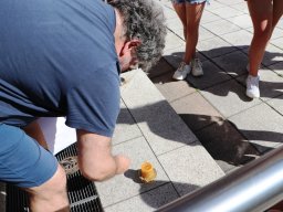 Zakończenie roku formacyjnego Dzieci Maryi, 21.06.2025